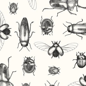 Crosshatched Beetles