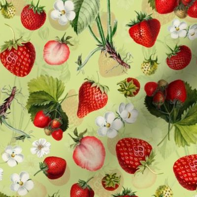 14" Antique Watercolor Strawberry Flower Meadow- Vintage Strawberries on light apple green Fabric Double layer