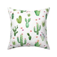 Watercolor Cactus//White - Large