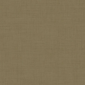 Linen // Kentia Palm