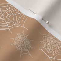 light cobweb in different sizes on desert sand brown