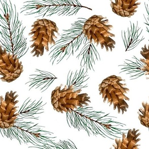 Pine Cones & Branches - Winter Christmas Print