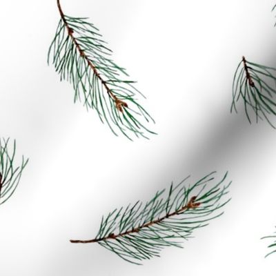 Pine Tree Branches in Elegant Christmas Pattern 