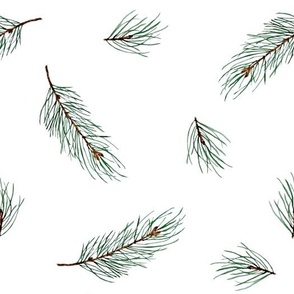 Pine Tree Branches in Elegant Christmas Pattern 
