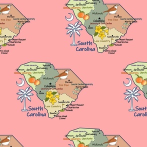 South Carolina State Map pink