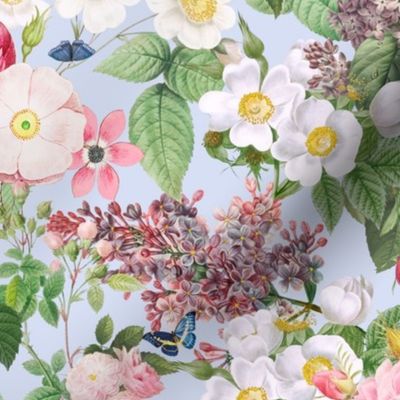 Nostalgic Beauty: Antique Lilac Flower and Bouquets with Pierre-Joseph Redouté Roses,  English Dog Rose, Blue Cute Butterflies- for Vintage Home Decor And Wallpaper baby blue 