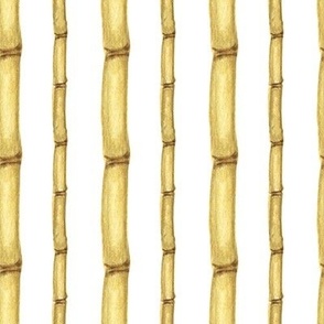 Bamboo