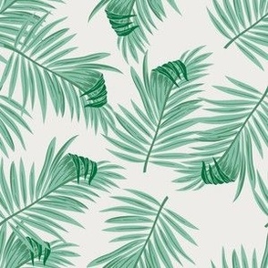tropical leaves on white