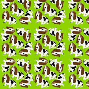 Basset Hound on Lime Green  (Micro)