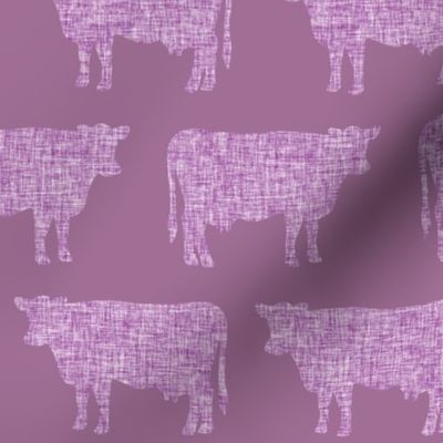 wisteria + sweet dreams cows