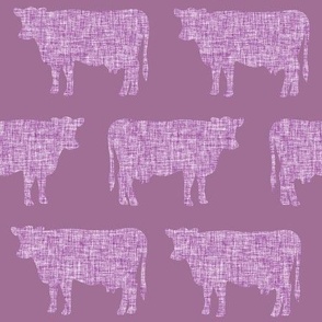 wisteria + sweet dreams cows