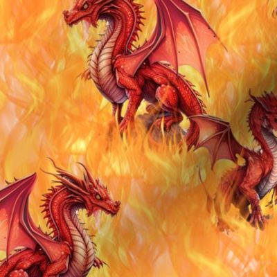 Fire Dragons