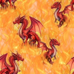 Fire Dragons