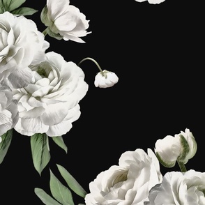 White Peonies on black