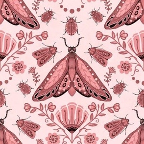 Beetles and moths in pink