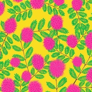Sunshine Mimosa - Marigold - Large