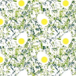 Green dill and eggs