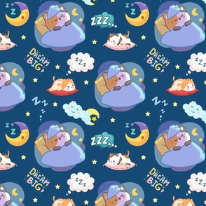 Dream Big Sleeping Cat Blue Background