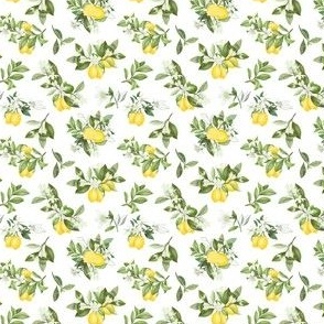 Lemon Blossoms with Lemons