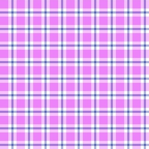 Picnic Vintage 1 Inch Plaid Check No. 3 Blue and Rose Pink