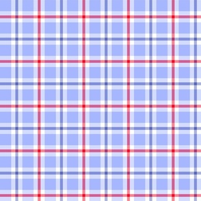 All American 1 Inch Plaid Check No. 1 Red and Blue