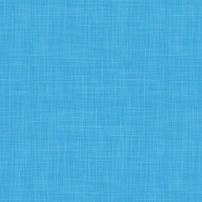 Cyan blue solid with linen Texture PANTONE  Ultra Steady Palette 6120 C 