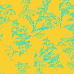 Vibrant Yellow & Blue Poison Flower Line Art