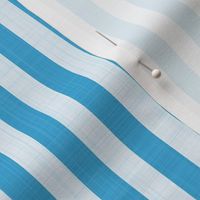 half inch cyan blue stripe with linen texture PANTONE  Ultra Steady  6120 C