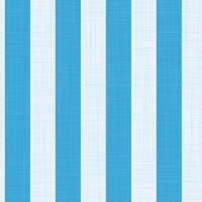 one inch cyan blue stripe with linen texture PANTONE  Ultra Steady  6120 C