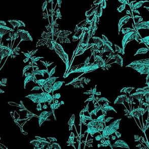 Midnight & Turquoise Poison Flower Line Art
