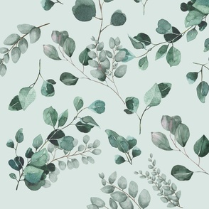 Eucalyptus Watercolor Pastel Green Background