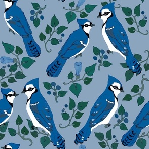 Blue Jays On Gray