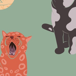 Yawning Cats 3