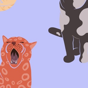 Yawning Cats 5