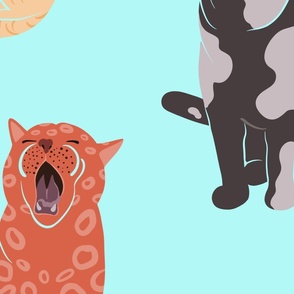 Yawning Cats 7
