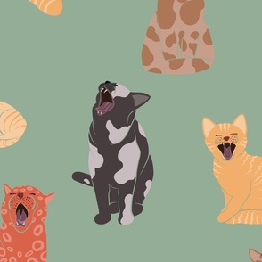 Yawning Cats M 6