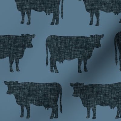 slate + blue gray cows