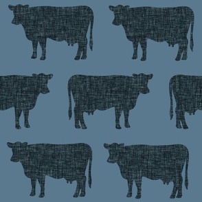 slate + blue gray cows