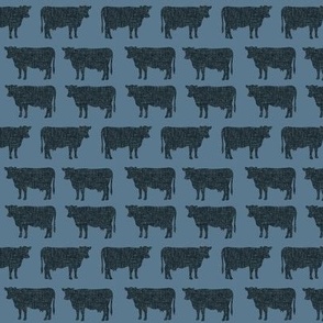small slate + blue gray cows