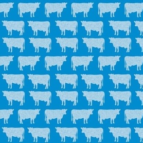 small blue + sky cows
