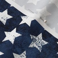 Fourth of July Grunge Blue Stars  - Small Scale