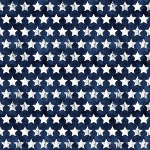 Fourth of July Grunge Blue Stars  - Small Scale