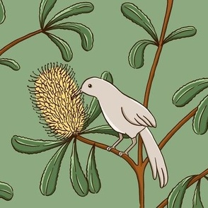 Wattlebird Banksia - eucalyptus green