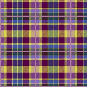 Edith Kirk Tartan