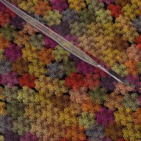 crochet autumn foliage