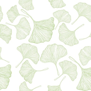 Ginkgo Leaves pattern in Sage. Large, 50x50"