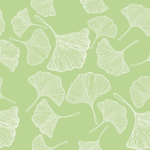 Ginkgo leaves pattern Sage background. Large, 50x50"
