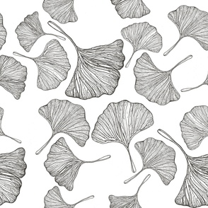 Ginkgo leaves pattern in black and white. Large, 50x50".