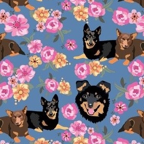 small print // Three Lancashire Heeler Dogs Pink floral with blue background