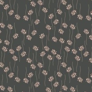 apricot flowers and twigs in lines on dark charcoal